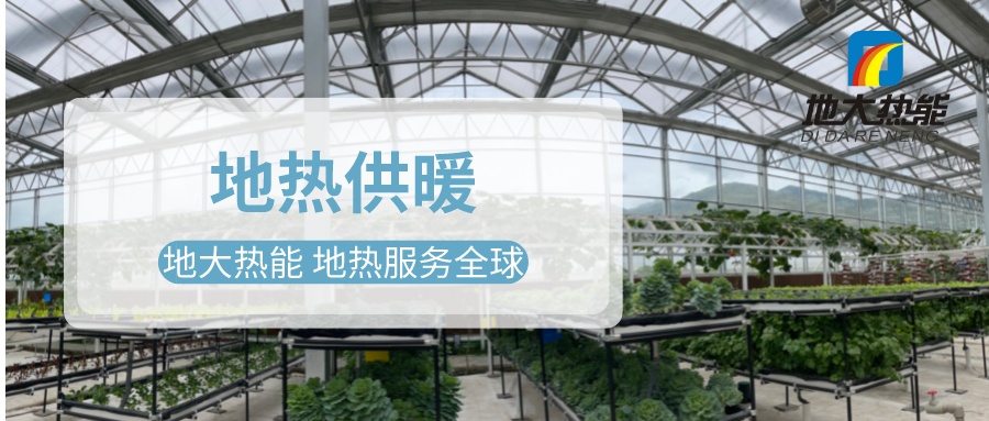 發揮地熱資源優勢，地熱農業實現花卉產業特色發展 | 地大熱能 地熱服務全球
